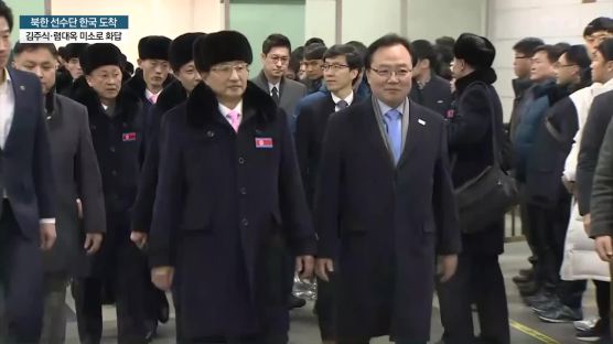 [영상] 북한 피겨 렴대옥 ‘말보다 미소’