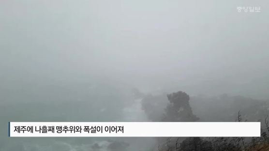 [영상]독자가 보내준 제주도 폭설강풍 현장..