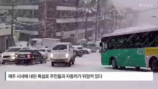 제주공항 폐쇄 올해만 벌써 4번째 …제설장비 확충 목소리 높아 