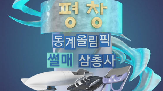 [3D 그래픽으로 본 썰매 3형제 봅스루-③ 선수] 장갑과 경기복이 ‘남다른’ 루지