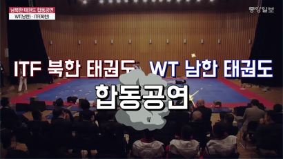 [영상]닮은 듯 다른 두 가지 매력 '남북 태권도 시범단' 합동공연