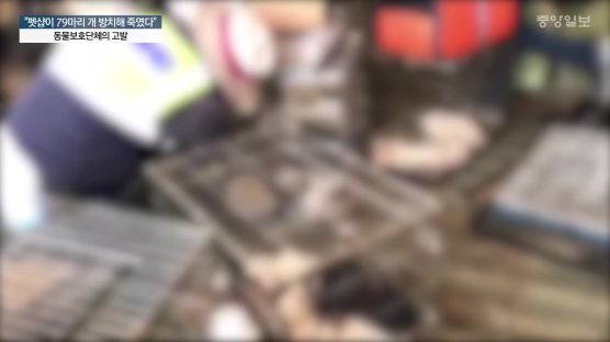 펫숍서 발견된 79마리 강아지 사체…"최소 몇 달 방치된 듯"