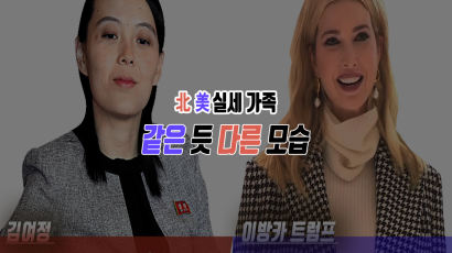 [영상] 美 北 실세 가족 ‘김여정’ ‘이방카 트럼프’ 같은 듯 다른 모습
