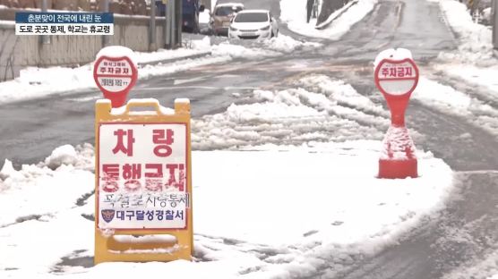 [서소문사진관]오늘이 춘분이라고? 전국 곳곳에 눈 내려