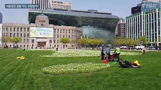 [서소문사진관]서울광장 꽃밭 시민들“이게 무슨 모양이에요?”