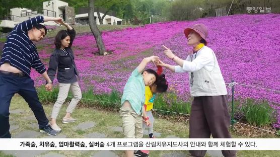 [굿모닝 내셔널] 파주 율곡수목원 산림치유 프로그램 가보니