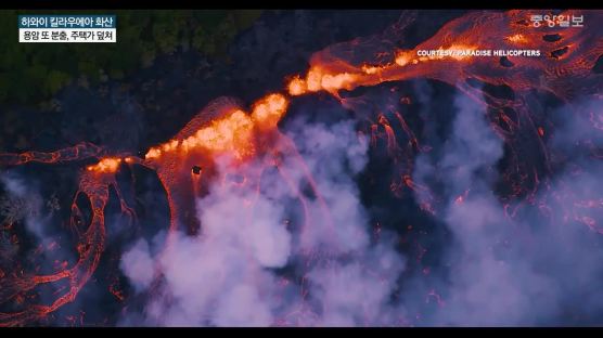 하와이 화산폭발 첫 중상자…3층 발코니서 튀어 오른 용암에 하반신 다쳐