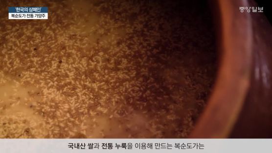 [굿모닝 내셔널]‘한국의 샴페인’ 천연탄산 막걸리 만드는 ‘발효 형제’