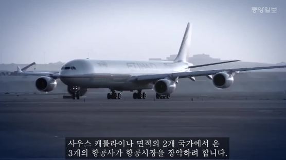 [단독] 아랍에미리트 항공사, 한국~UAE 2배 증편 무산