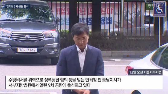 "인터뷰 의구심"···安측 증인으로 나선 김지은 지인