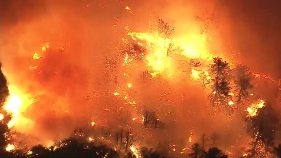 [서소문사진관]불타는 지구...포르투갈·스페인도 대형산불 번져