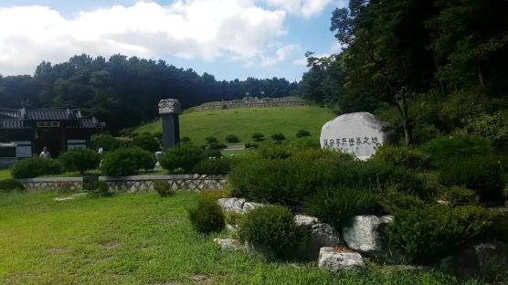 [일요기획]"의로운 말 묻힌 파주 '의마총' 향토문화유산 지정을"