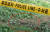 19일 오후 경기도 과천시 서울대공원 장미의언덕 주차장 인근 도로 수풀에 폴리스라인이 설치되어 있다. [뉴스1]