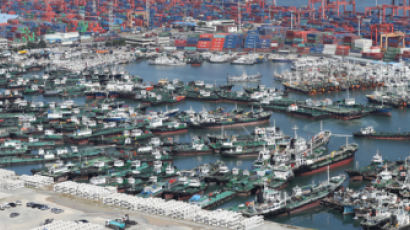 [사진] 태풍 ‘솔릭’ 대피한 부산항 선박