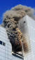 21일 오후 3시43분께 인천시 남동구 논현동 한 전자 제품 제조 공장에서 화재가 발생했다. 이 불로 현재까지 공장 근로자 9명이 숨지고 6명이 중·경상을 입어 인근 병원으로 옮겨져 치료를 받고 있다. [사진 인천소방본부]