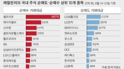 속전속결 치고 빠지기 … 증시 휘젓는 ‘멸치’ 잡힐까