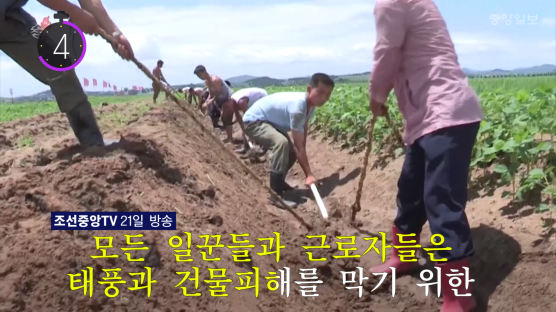 [11초 뉴스] 북한 조선중앙TV가 방송한 태풍‘솔릭’에 대처하는 방법