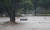 허리케인 레인의 영향으로 23일(현지시간) 미국 하와이 힐로의 한 축구장에 주차된 차량이 물에 잠겨 있다. [EPA=연합뉴스]