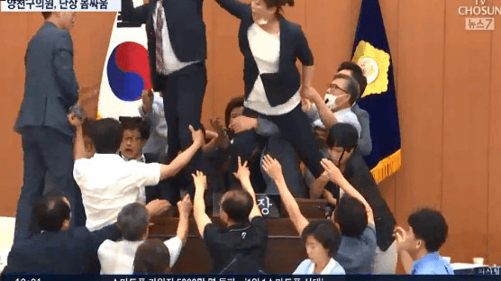 "여당 의장이 얼굴 때렸다"…격투기장 된 양천구의회