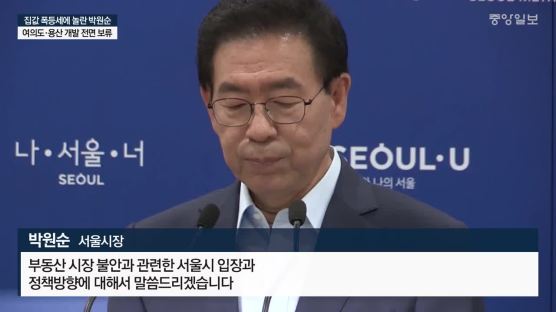 '여의도 통째 개발' 스톱, 박원순 차기행보 부담?