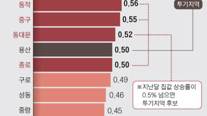 서울 투기지역 15개구로 늘 듯 … 광명·안양은 과열지구 후보