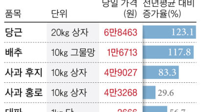 폭염 탓에 확 뛴 추석·김장 물가...밥상이 떨고 있다