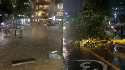 물에 잠긴 신촌, 가로수 쓰러진 도로… 물폭탄에 서울 아수라장