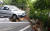 31일 오전 서울 금천구 가산동의 한 아파트 인근 도로에 가로 30m 세로 10m 크기의 대형 싱크홀(땅 꺼짐)이 발생해 치량들이 크게 기울어져 있다.[사진 구로소방서]