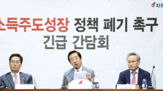 당 지도부, 상임위원장, 홍준표까지…소득주도성장 총공세 나선 한국당