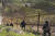 비무장지대(DMZ)에서 육군 6사단 장병이 남방한계선 철책을 따라 경계시설물을 점검하고 있다. 정전 65주년을 맞은 지난 여름 강원도 철원군 중부전선 DMZ에서 촬영했다. [연합뉴스]