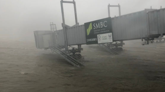 태풍 제비 덮친 일본 "간사이 공항이 사라졌다"