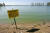 2011년 5월 미국 오하이오주 세인트매리스 호수에 설치된 녹조 독소 경고판. 조류 독소가 검출됐으므로 수영이나 물을 삼키지 말라는 내용이다.