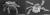 쯔쯔가무시증을 매개하는 털진드기. 왼쪽부터 활순털진드기, 대잎털진드기. [사진 질병관리본부]