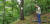 김장수 전 고려대 농대학장의 국내 첫 수목장(2004년) 참나무 앞에 선 제자 변우혁 명예교수. 장세정 기자