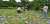인천가족공원 잔디장. 바둑판 크기 정도의 평장 주변 잔디를 관리해주는 공원 관계자들. 