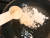 프라이팬 기름을 친환경적으로 없애는 가장 좋은 방법은 밀가루 ! 밀가루 한 스푼을 프라이팬에 뿌린다.