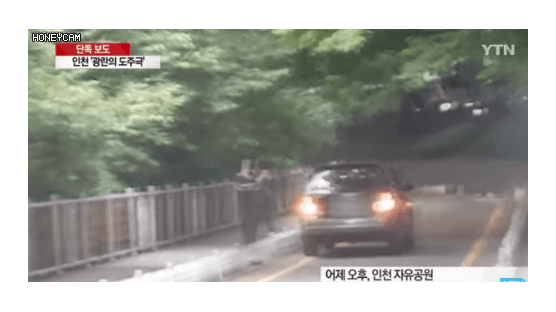 인천 도심 공원 ‘광란의 도주극’ 운전자 잡혔다