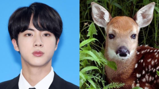 JIN Resembles a Deer That Means His Character and Life Would be…