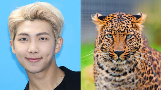 RM Resembles a Leopard, Which Means His Character and Life Would Be…