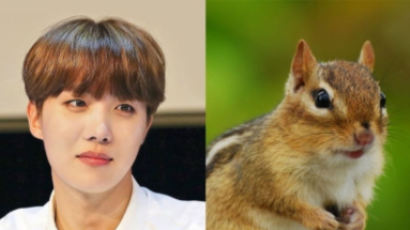 J-HOPE Resembles a Squirrel, Which Means His Character and Life Would Be…