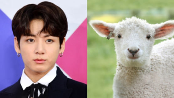 JUNGKOOK Resembles a Sheep, Which Means His Character and Life Would Be…
