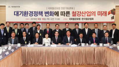 [경제 브리핑] 한국철강협회, 대기환경정책 전문가 토론회 열어