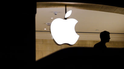 애플·나이키, '중국인이 좋아하는 브랜드 톱10'에서 탈락, 왜