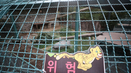 대전동물원 탈출한 퓨마 4시간30분만에 엽사가 사살