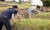 추석 연휴를 일주일 앞둔 16일 오후 인천 서구 당하동 천주교인천교구묘원에서 성묘객들이 조상 묘를 벌초하고 있다. [연합뉴스]