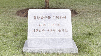 [서소문사진관] 문재인 대통령 방북 날짜는 '9월18일부터 9월21일까지(?)'
