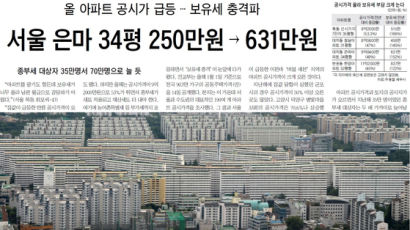 "세금 대신 아파트 베라"···2007 '보유세폭탄' 악몽 재현 