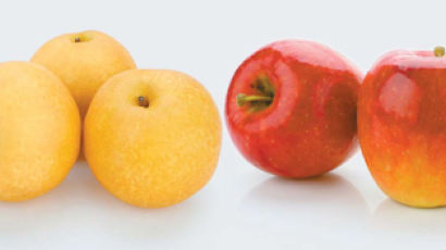 [맛있는 도전] 껍질째 먹을수 있고, 비타민C 풍부한 신품종 사과·배 … 한가위 선물로 딱!