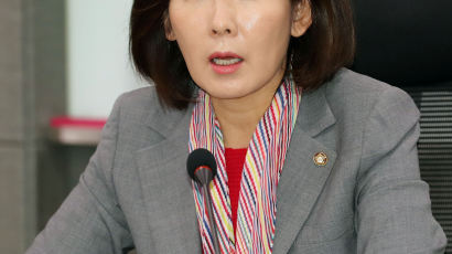 나경원 “일본 자민당 관련 간담회 ‘친일 행위’ 매도…안타깝다” 