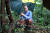 문재인 대통령이 29일 오전 경남 양산시 사저 뒷산에서 산책을 하던 중 떨어진 감을 주워들고 있다. [사진 청와대]